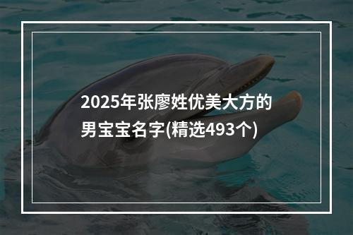 2025年张廖姓优美大方的男宝宝名字(精选493个)