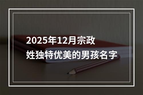2025年12月宗政姓独特优美的男孩名字