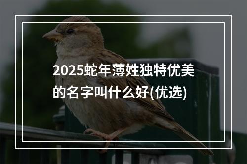 2025蛇年薄姓独特优美的名字叫什么好(优选)