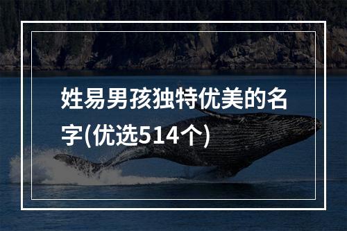 姓易男孩独特优美的名字(优选514个)
