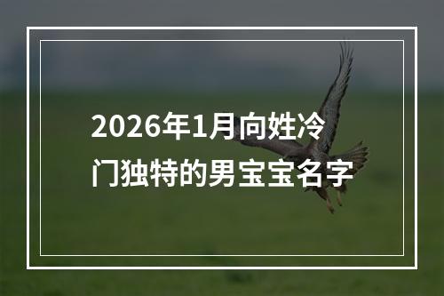 2026年1月向姓冷门独特的男宝宝名字