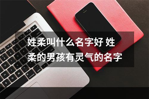 姓柔叫什么名字好 姓柔的男孩有灵气的名字