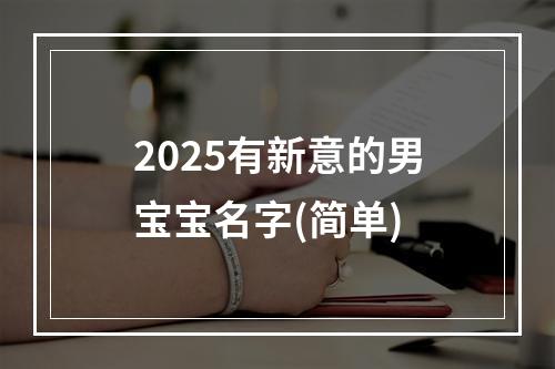 2025有新意的男宝宝名字(简单)