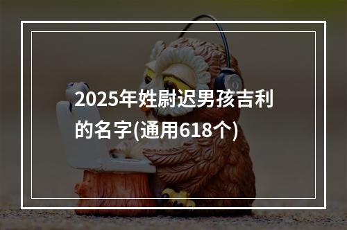 2025年姓尉迟男孩吉利的名字(通用618个)