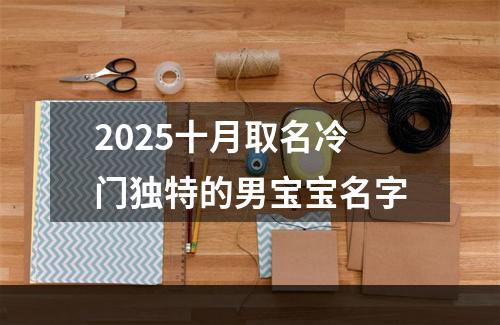 2025十月取名冷门独特的男宝宝名字