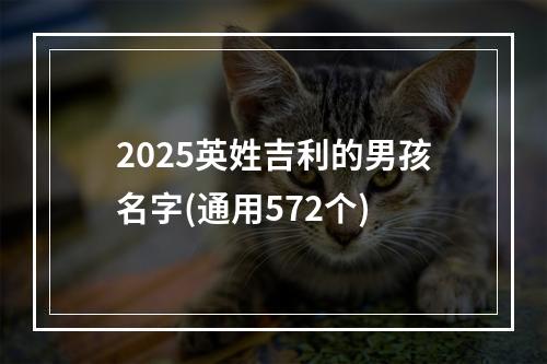 2025英姓吉利的男孩名字(通用572个)