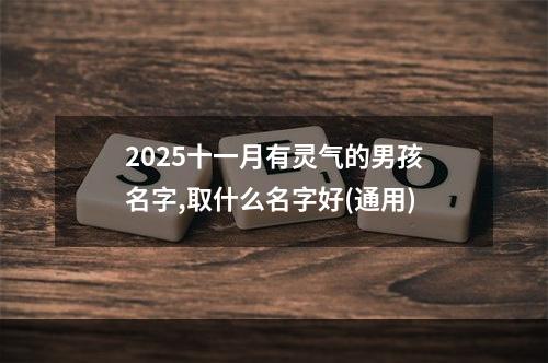 2025十一月有灵气的男孩名字,取什么名字好(通用)