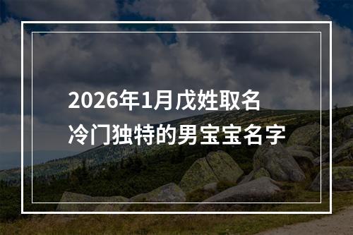 2026年1月戊姓取名冷门独特的男宝宝名字