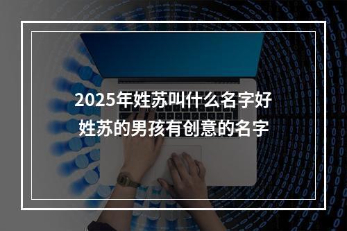 2025年姓苏叫什么名字好 姓苏的男孩有创意的名字