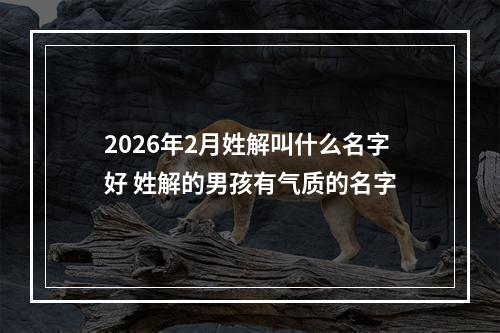 2026年2月姓解叫什么名字好 姓解的男孩有气质的名字