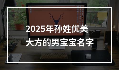 2025年孙姓优美大方的男宝宝名字