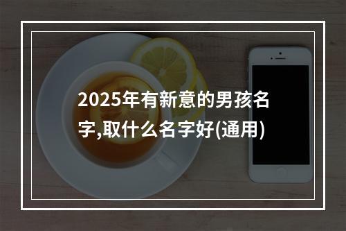 2025年有新意的男孩名字,取什么名字好(通用)