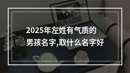 2025年左姓有气质的男孩名字,取什么名字好