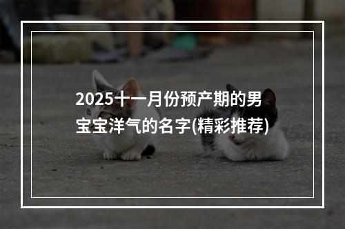 2025十一月份预产期的男宝宝洋气的名字(精彩推荐)