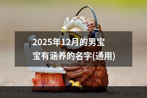 2025年12月的男宝宝有涵养的名字(通用)