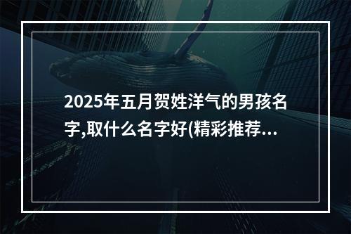 2025年五月贺姓洋气的男孩名字,取什么名字好(精彩推荐)