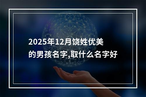 2025年12月饶姓优美的男孩名字,取什么名字好