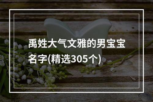 禹姓大气文雅的男宝宝名字(精选305个)
