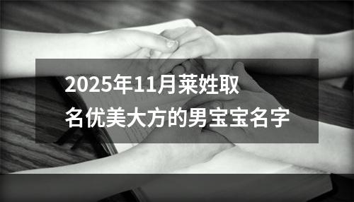 2025年11月莱姓取名优美大方的男宝宝名字