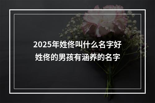 2025年姓佟叫什么名字好 姓佟的男孩有涵养的名字