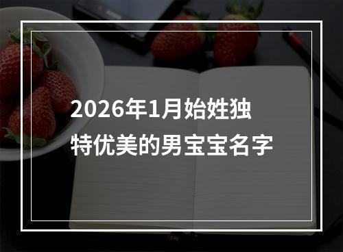2026年1月始姓独特优美的男宝宝名字