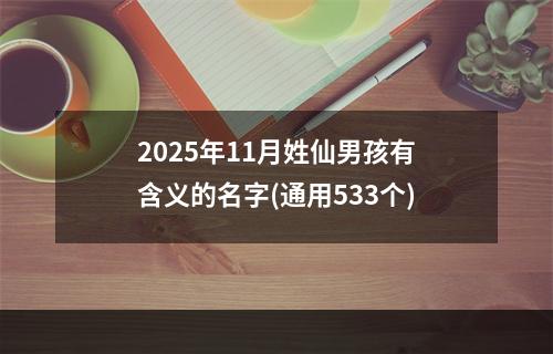 2025年11月姓仙男孩有含义的名字(通用533个)