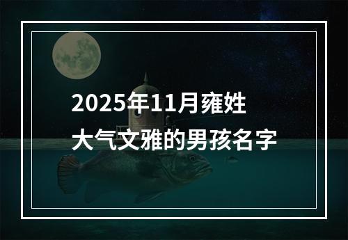 2025年11月雍姓大气文雅的男孩名字