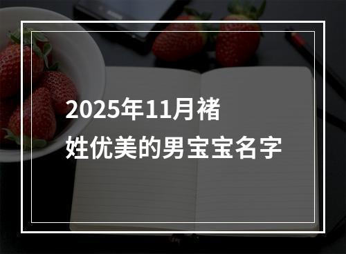 2025年11月褚姓优美的男宝宝名字