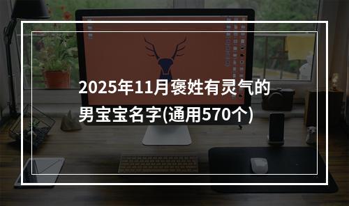 2025年11月褒姓有灵气的男宝宝名字(通用570个)