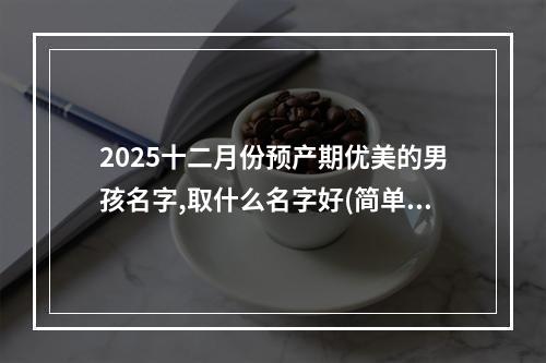 2025十二月份预产期优美的男孩名字,取什么名字好(简单)