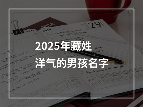 2025年藏姓洋气的男孩名字
