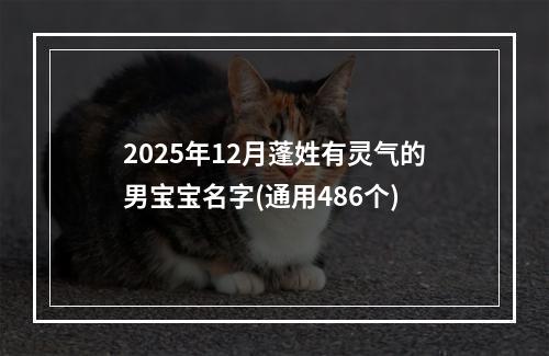2025年12月蓬姓有灵气的男宝宝名字(通用486个)
