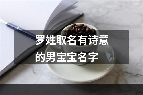 罗姓取名有诗意的男宝宝名字