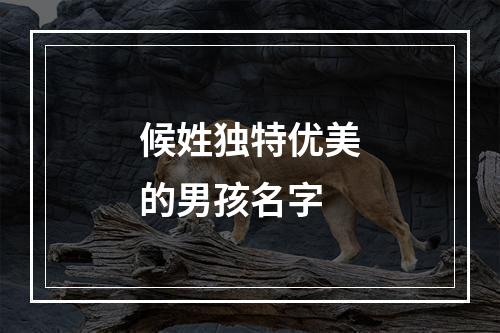 候姓独特优美的男孩名字