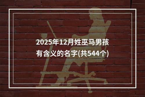 2025年12月姓巫马男孩有含义的名字(共544个)