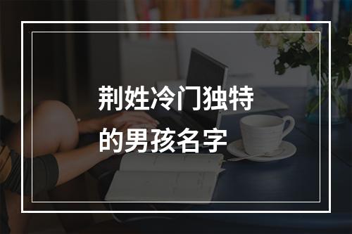 荆姓冷门独特的男孩名字