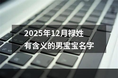 2025年12月禄姓有含义的男宝宝名字