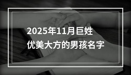 2025年11月巨姓优美大方的男孩名字