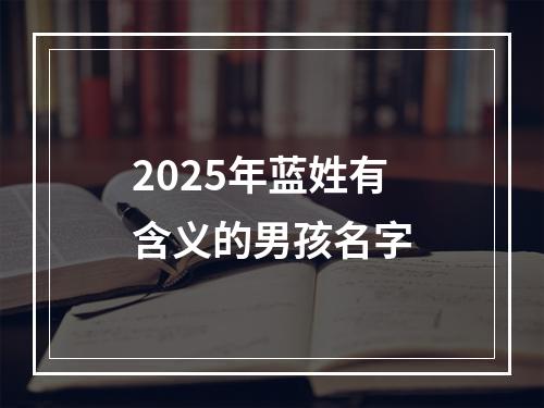 2025年蓝姓有含义的男孩名字