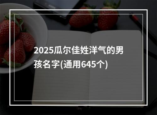 2025瓜尔佳姓洋气的男孩名字(通用645个)