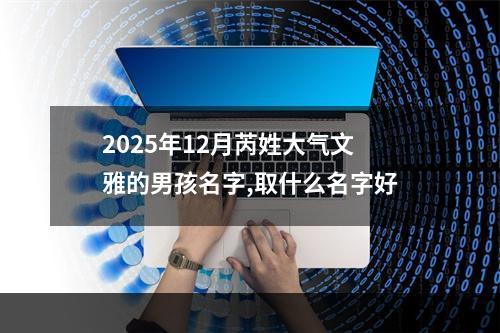 2025年12月芮姓大气文雅的男孩名字,取什么名字好