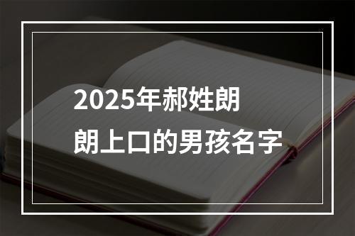 2025年郝姓朗朗上口的男孩名字