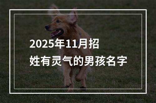 2025年11月招姓有灵气的男孩名字