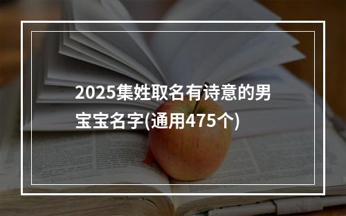 2025集姓取名有诗意的男宝宝名字(通用475个)