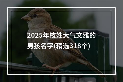 2025年枝姓大气文雅的男孩名字(精选318个)