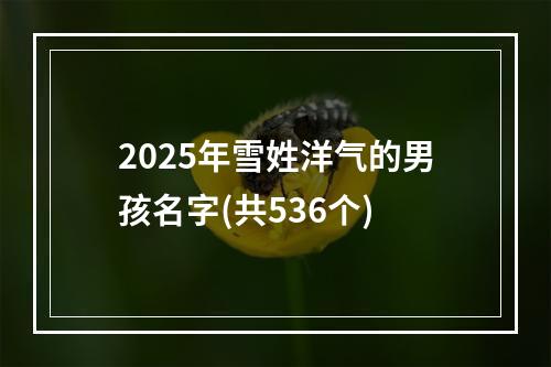 2025年雪姓洋气的男孩名字(共536个)