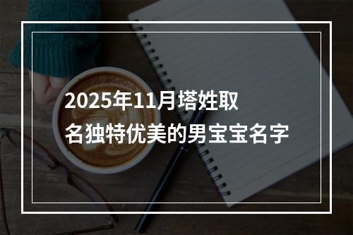 2025年11月塔姓取名独特优美的男宝宝名字