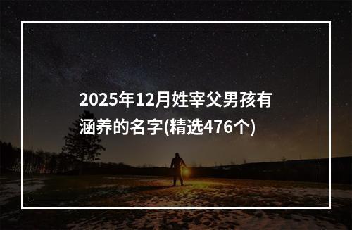 2025年12月姓宰父男孩有涵养的名字(精选476个)