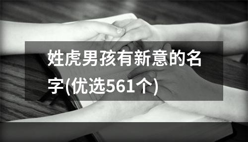 姓虎男孩有新意的名字(优选561个)