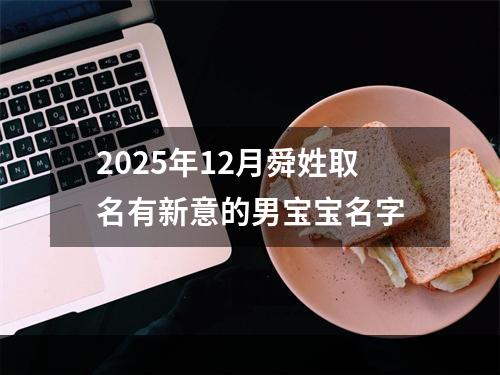 2025年12月舜姓取名有新意的男宝宝名字